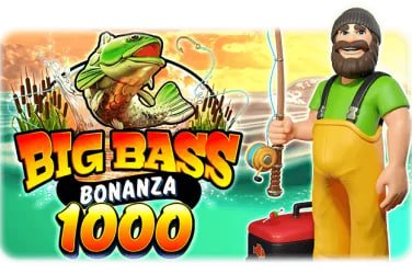 8kg bet